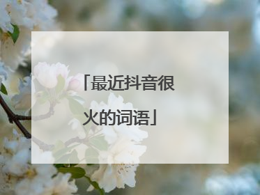 最近抖音很火的词语