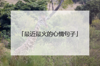 最近最火的心情句子