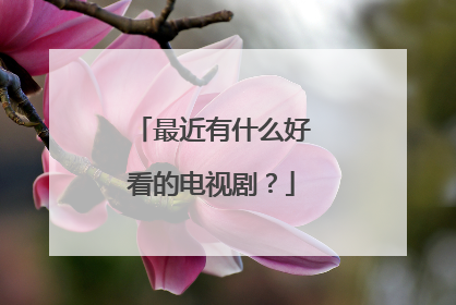 最近有什么好看的电视剧？
