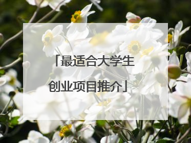 最适合大学生创业项目推介