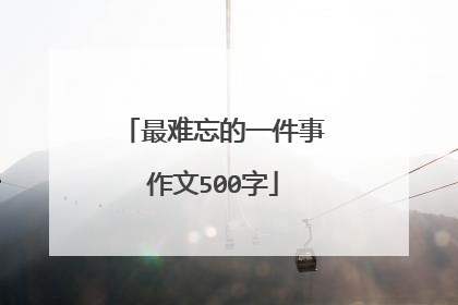 最难忘的一件事作文500字