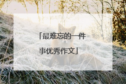 最难忘的一件事优秀作文