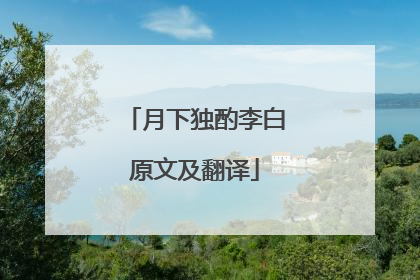 月下独酌李白原文及翻译