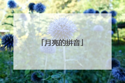 月亮的拼音