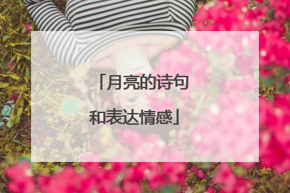 月亮的诗句和表达情感