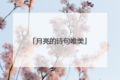 月亮的诗句唯美
