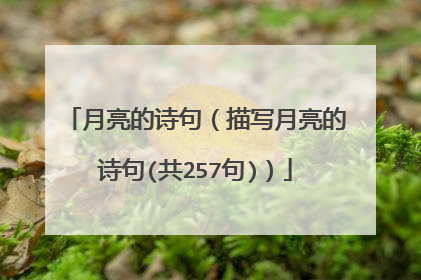 月亮的诗句（描写月亮的诗句(共257句)）