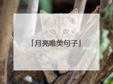 月亮唯美句子