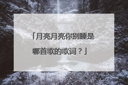 月亮月亮你别睡是哪首歌的歌词？
