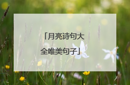 月亮诗句大全唯美句子