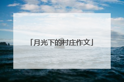 月光下的村庄作文