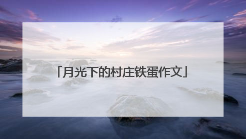 月光下的村庄铁蛋作文