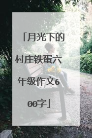月光下的村庄铁蛋六年级作文600字