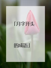 月字开头的成语