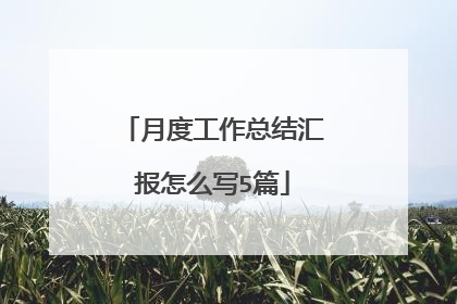 月度工作总结汇报怎么写5篇
