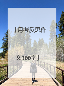 月考反思作文300字