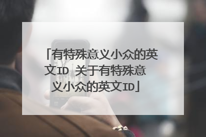 有特殊意义小众的英文ID 关于有特殊意义小众的英文ID