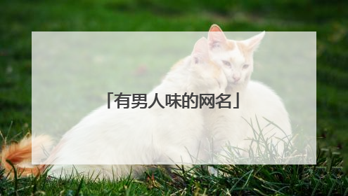 有男人味的网名