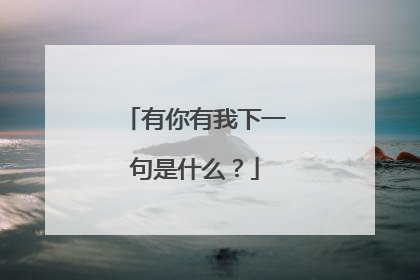 有你有我下一句是什么？