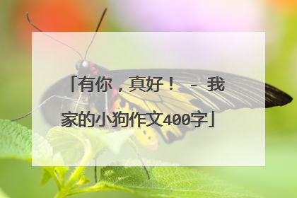有你,真好! - 我家的小狗作文400字