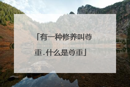 有一种修养叫尊重.什么是尊重