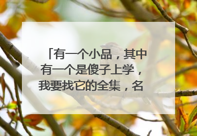 有一个小品,其中有一个是傻子上学,我要找它的全集,名字是什么?