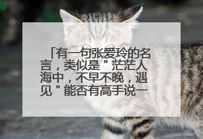 有一句张爱玲的名言，类似是＂茫茫人海中，不早不晚，遇见＂能否有高手说一下是哪个名言，要整句的。谢
