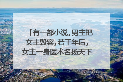 有一部小说,男主把女主毁容,若干年后,女主一身医术名扬天下,男主为救心爱女子,上门求药,求名字？