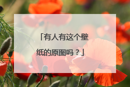 有人有这个壁纸的原图吗?