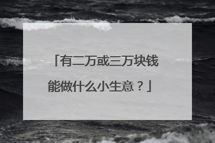 有二万或三万块钱能做什么小生意?
