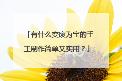 有什么变废为宝的手工制作简单又实用？