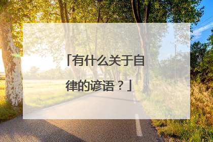 有什么关于自律的谚语？