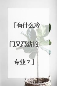 有什么冷门又高薪的专业？