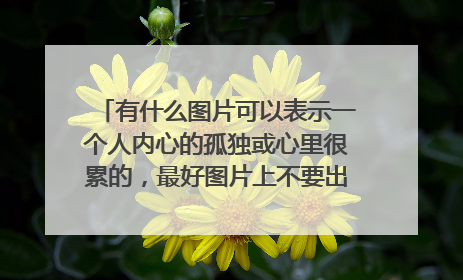 有什么图片可以表示一个人内心的孤独或心里很累的，最好图片上不要出现孤独累的字眼。