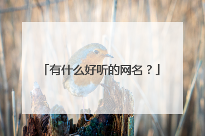 有什么好听的网名?