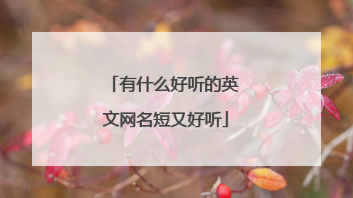 有什么好听的英文网名短又好听