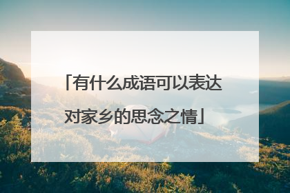 有什么成语可以表达对家乡的思念之情
