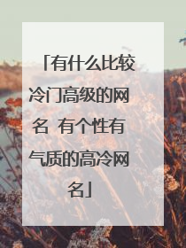 有什么比较冷门高级的网名 有个性有气质的高冷网名