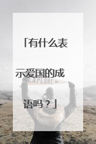 有什么表示爱国的成语吗？
