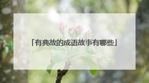 有典故的成语故事有哪些