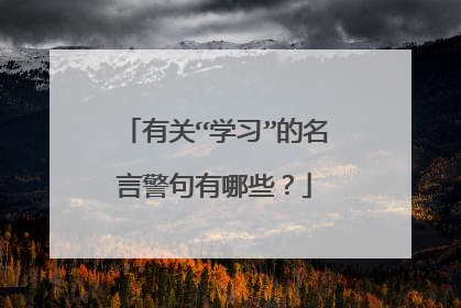 有关“学习”的名言警句有哪些？