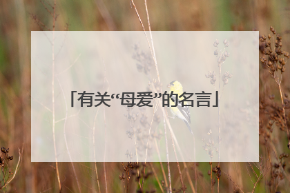 有关“母爱”的名言