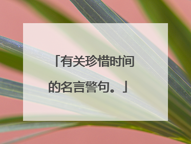 有关珍惜时间的名言警句。