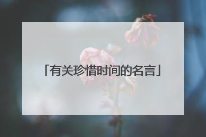 有关珍惜时间的名言