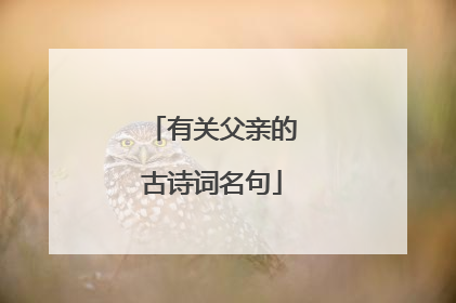 有关父亲的古诗词名句