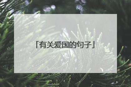 有关爱国的句子