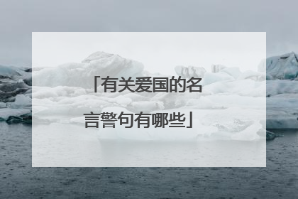 有关爱国的名言警句有哪些