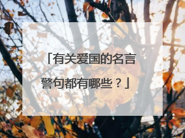 有关爱国的名言警句都有哪些?