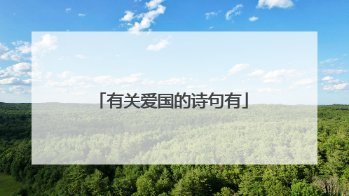 有关爱国的诗句有