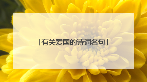 有关爱国的诗词名句